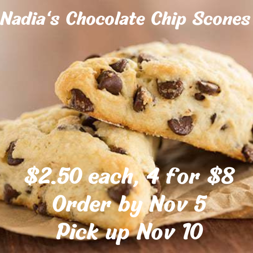 Nadia's Chocolate Chip Scones logo (2)